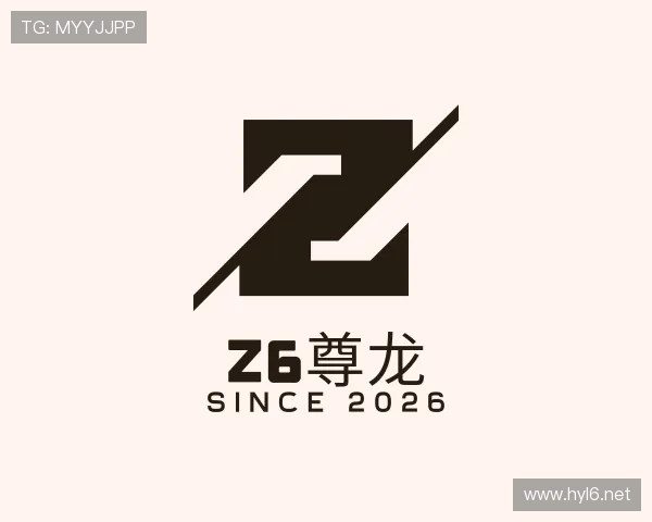 介绍Z6尊龙